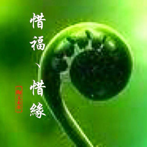 惜福、惜緣,福慧雙至。