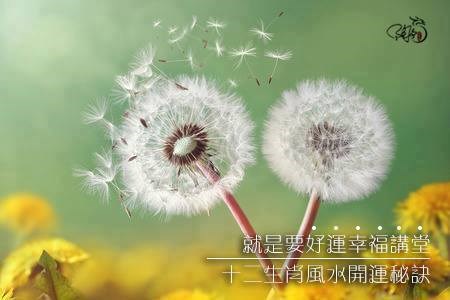 想知道生肖與風水的密切關係嗎?