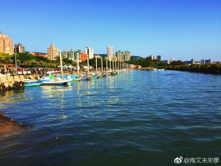 生命的港灣