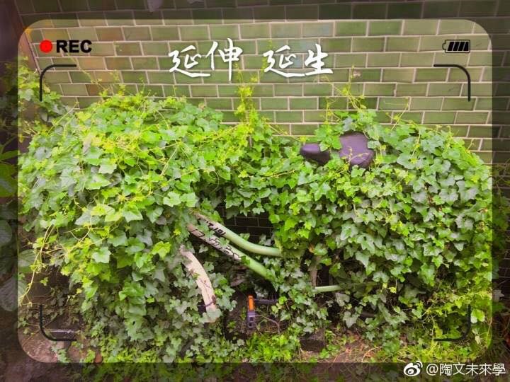 人生需要感謝這五種人