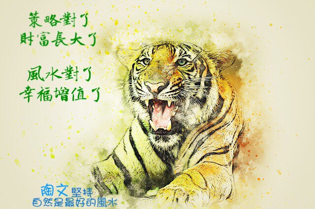 2017年十二生肖開運風水  老虎