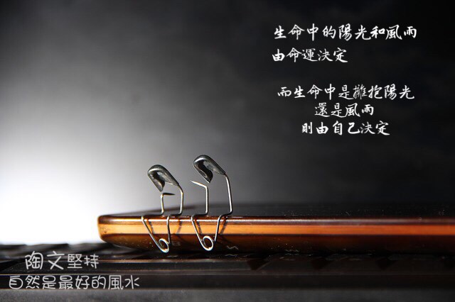 我的陽光 我選擇