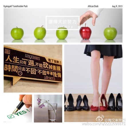 選擇比能力重要